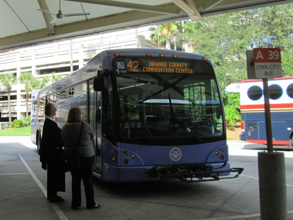 Orlando Lynx